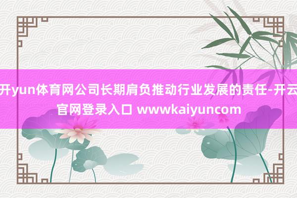 开yun体育网公司长期肩负推动行业发展的责任-开云官网登录入口 wwwkaiyuncom