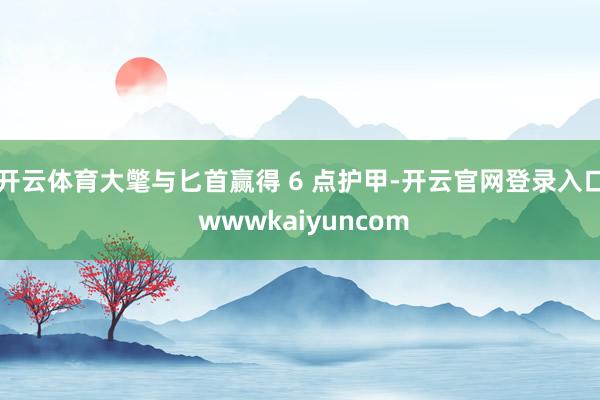 开云体育大氅与匕首赢得 6 点护甲-开云官网登录入口 wwwkaiyuncom