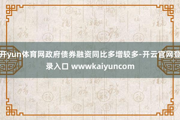 开yun体育网政府债券融资同比多增较多-开云官网登录入口 wwwkaiyuncom