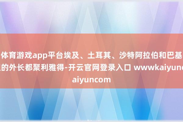 体育游戏app平台埃及、土耳其、沙特阿拉伯和巴基斯坦的外长都聚利雅得-开云官网登录入口 wwwkaiyuncom