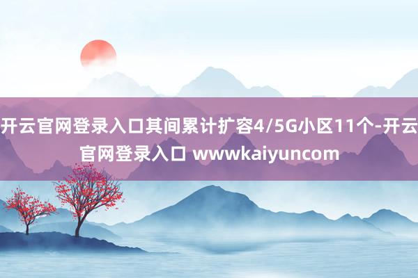 开云官网登录入口其间累计扩容4/5G小区11个-开云官网登录入口 wwwkaiyuncom