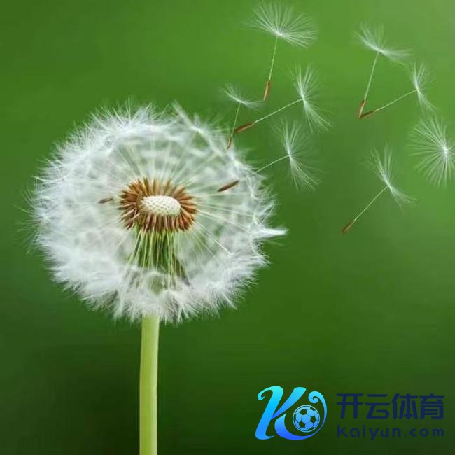 春分习俗饮食推选 品尝当然赠送