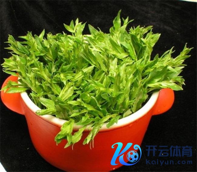 春分习俗饮食推选 品尝当然赠送