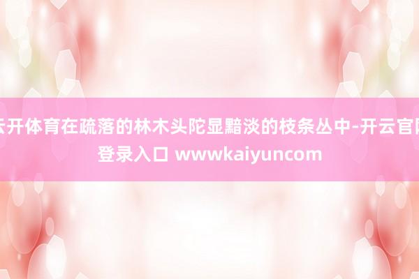 云开体育在疏落的林木头陀显黯淡的枝条丛中-开云官网登录入口 wwwkaiyuncom