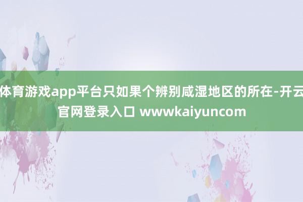 体育游戏app平台只如果个辨别咸湿地区的所在-开云官网登录入口 wwwkaiyuncom