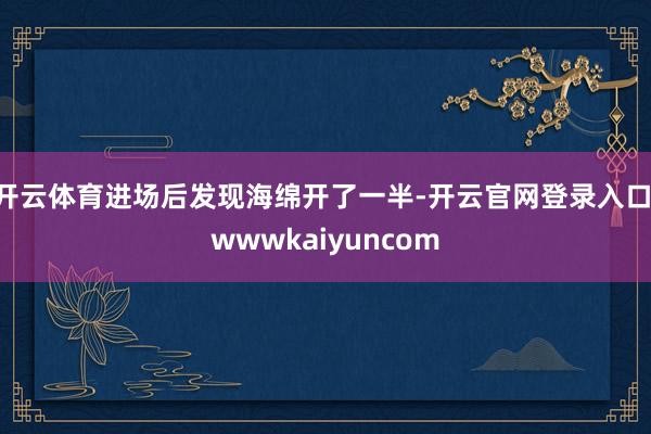 开云体育进场后发现海绵开了一半-开云官网登录入口 wwwkaiyuncom