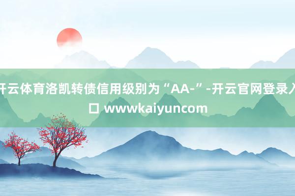 开云体育洛凯转债信用级别为“AA-”-开云官网登录入口 wwwkaiyuncom