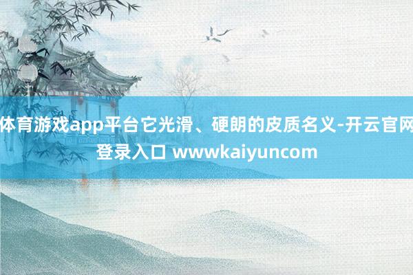 体育游戏app平台它光滑、硬朗的皮质名义-开云官网登录入口 wwwkaiyuncom